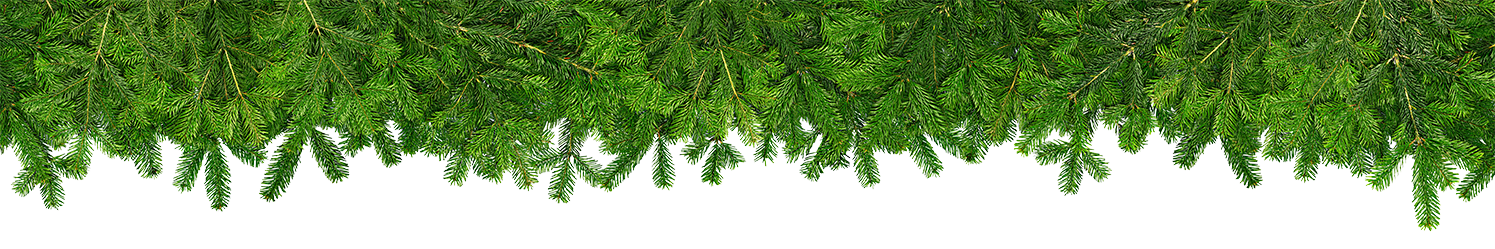 pine tree garland